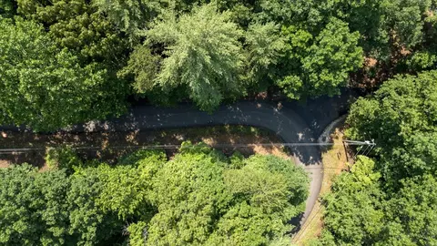 lot269 Seneca Dr, Ellijay, GA 30540