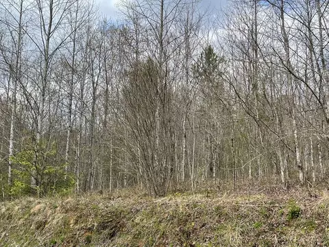 00 Laurel Branch Rd, Hayesville, NC 28906