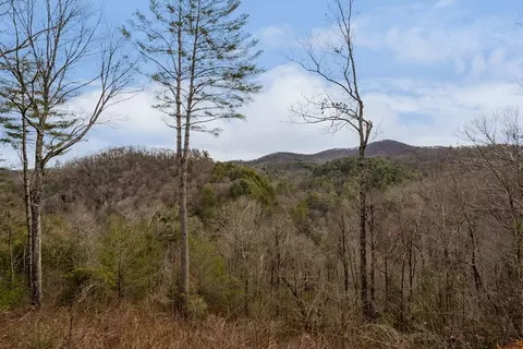 Other - 197 Cashes Valley Overlook, Cherry Log, GA 30522 photo 14 of 15