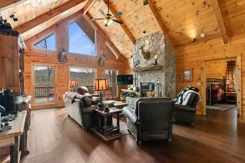 Living - 197 Cashes Valley Overlook, Cherry Log, GA 30522 photo 4 of 7