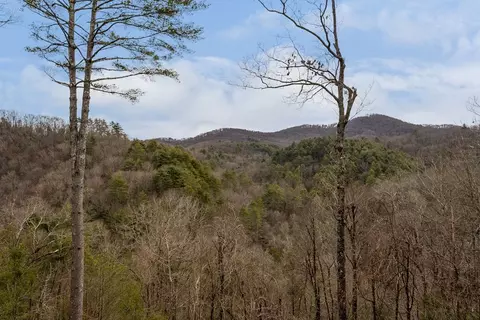 Other - 197 Cashes Valley Overlook, Cherry Log, GA 30522 photo 1 of 15