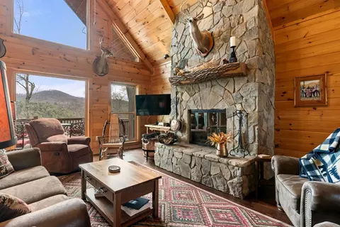 Living - 197 Cashes Valley Overlook, Cherry Log, GA 30522 photo 5 of 7