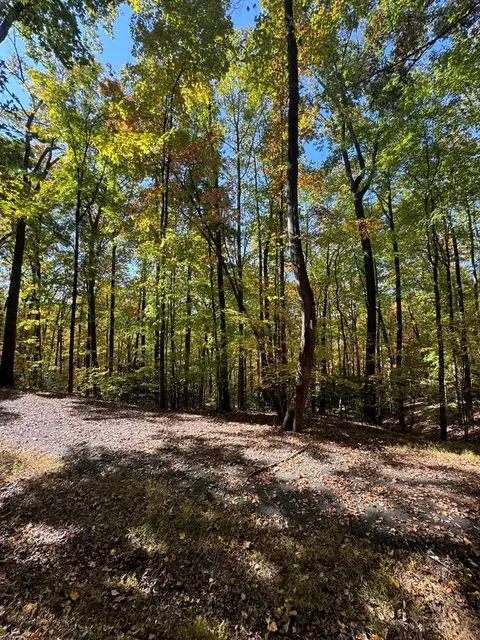 15 Turkey Cove Dr, Hayesville, NC 28904