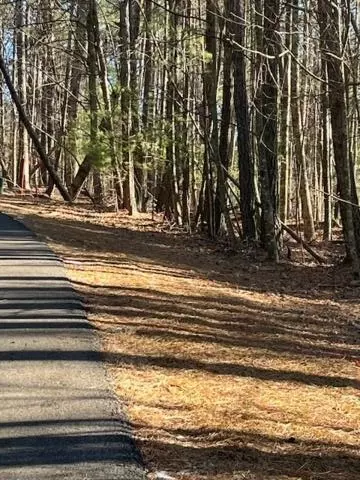 lot36 R Lake View Ln, Ellijay, GA 30536