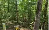 0 Ashlyn Ct, Morganton, GA 30560 photo 10