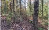 0 Ashlyn Ct, Morganton, GA 30560 photo 7