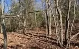 0 Ashlyn Ct, Morganton, GA 30560 photo 6
