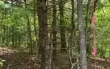 0 Ashlyn Ct, Morganton, GA 30560 photo 13