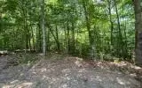 0 Ashlyn Ct, Morganton, GA 30560 photo 3