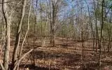 0 Ashlyn Ct, Morganton, GA 30560 photo 9