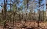 0 Ashlyn Ct, Morganton, GA 30560 photo 5