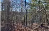 0 Ashlyn Ct, Morganton, GA 30560