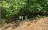 0 Ashlyn Ct, Morganton, GA 30560 photo 12