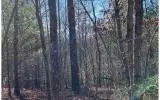 0 Ashlyn Ct, Morganton, GA 30560 photo 8
