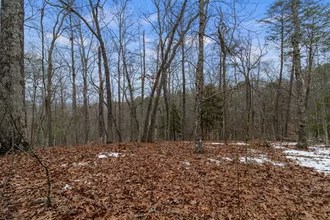 Tr4 Curtis Ridge Road, Blue Ridge, GA 30513
