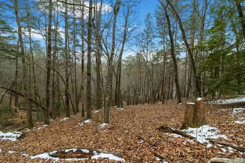 lot5 Curtis Ridge Rd, Blue Ridge, GA 30513