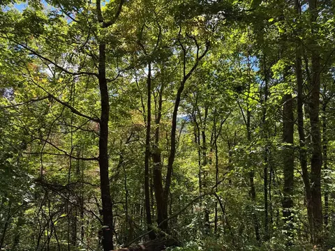 13 Burnt Leaf Lane, Hayesville, NC 28904