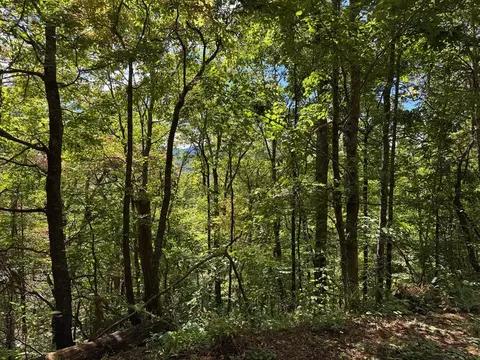 8 10-2 Tree Top Dr # -2, Hayesville, NC 28904