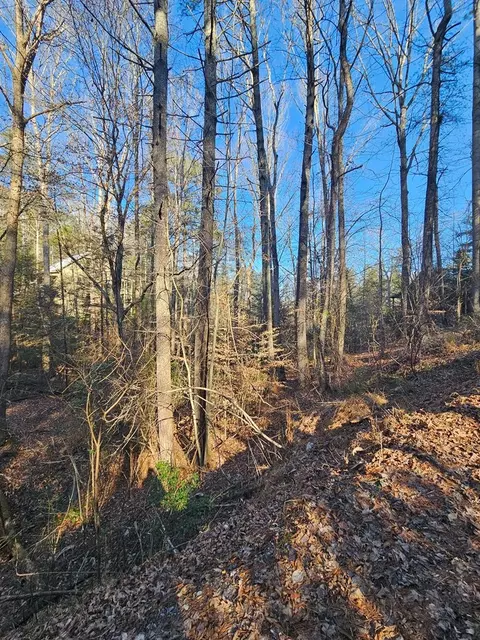 1620 Nexus Drive, Ellijay, GA 30540