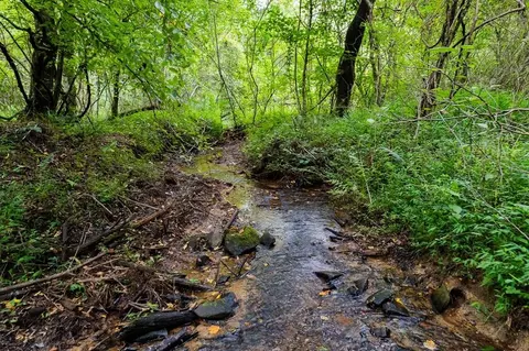13 59 Ac Ridgeway Church Rd, Ellijay, GA 30540