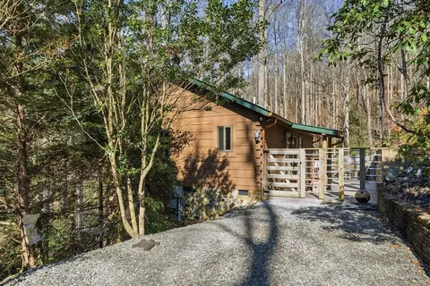 Exterior - 266 Chimney Rock Rd, Cherry Log, GA 30522 photo 3 of 6