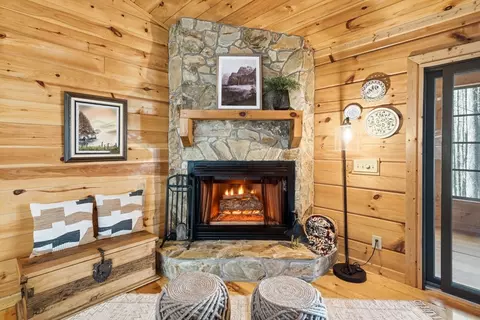 Living - 266 Chimney Rock Rd, Cherry Log, GA 30522 photo 1 of 4