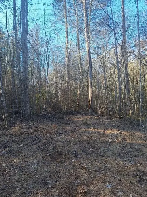 lot S Mill Creek Acres, Blue Ridge, GA 30513