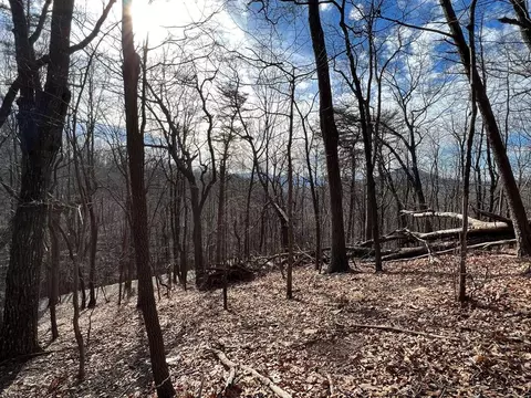 4528 Sassafras Mountain Trl, Jasper, GA 30143