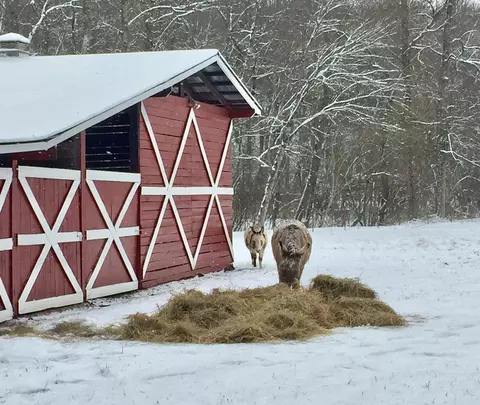 138 Wolf Creek Ests, Mineral Bluff, GA 30559