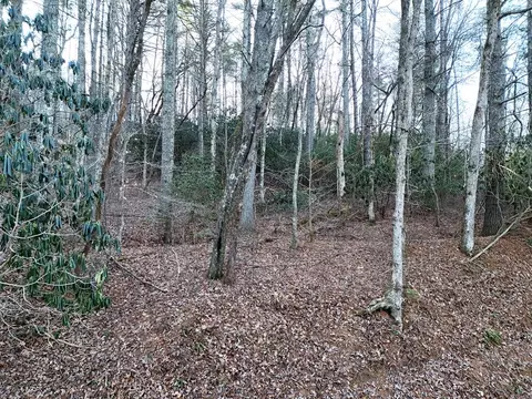 lot1 Papas Mountain Rd, Blairsville, GA 30512