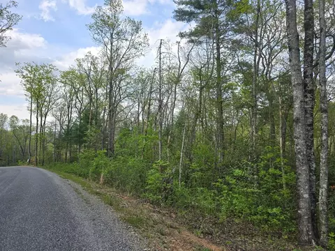 lot10 Kennedys Ct, Blairsville, GA 30512