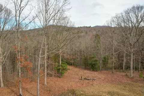 Exterior - 256 Bootlegger Rd, Morganton, GA 30560 photo 12 of 19