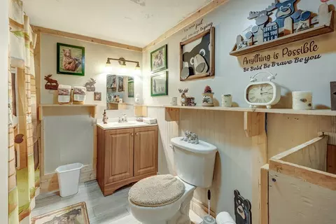 Bath - 256 Bootlegger Rd, Morganton, GA 30560 photo 2 of 2