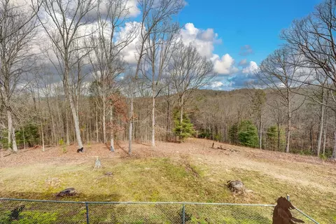 Exterior - 256 Bootlegger Rd, Morganton, GA 30560 photo 15 of 19