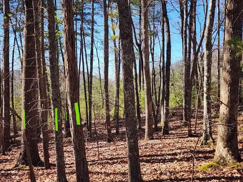 L17 Gray Grouse Trail, Murphy, NC 28906