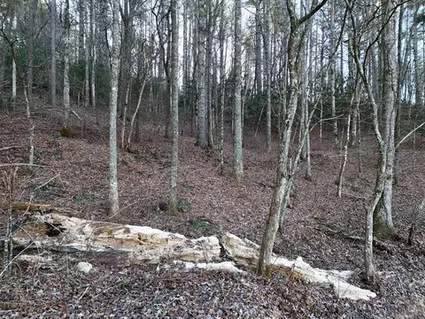 lot2 Papas Mountain Rd, Blairsville, GA 30512