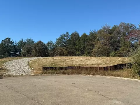lot11 Lindsey Ln, Blue Ridge, GA 30513