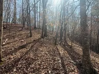 lot2119 Newport Dr, Ellijay, GA 30540