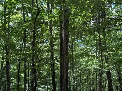 17 Ac Weaver Creek Rd, Blue Ridge, GA 30513