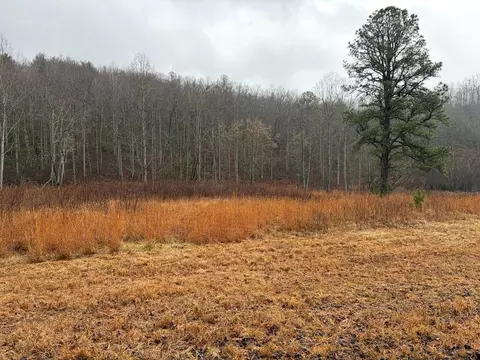lot42 Whisper Woods Rd, Hiawassee, GA 30546