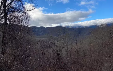 lot Off Buck Naked, Bryson City, NC 28713