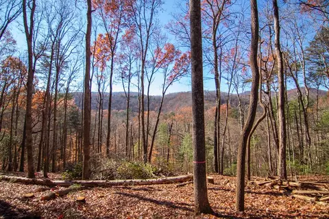 lot5 Clays Way, Blue Ridge, GA 30513