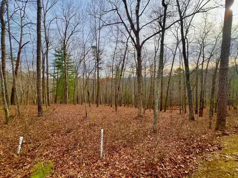 208 Harris Ridge Dr, Ellijay, GA 30540