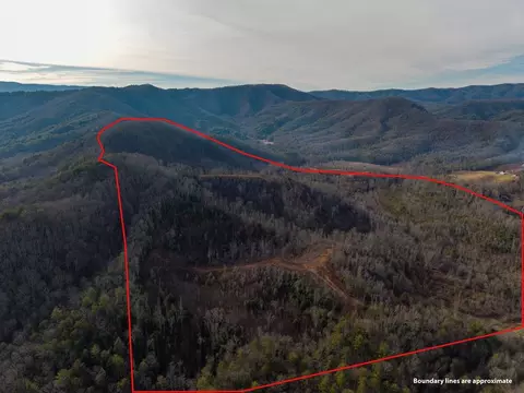 156 Ac Higdon Creek Rd, Blue Ridge, GA 30513