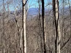 lot29 Hidden Summit Rd, Hiawassee, GA 30546