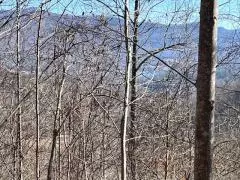 lot30 Hidden Summit Rd, Hiawassee, GA 30546
