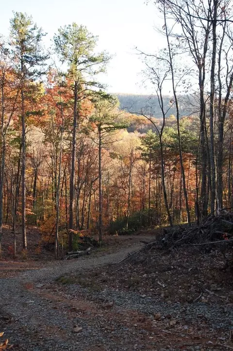 Lt 29a/b Paradise Lane, Ellijay, GA 30540
