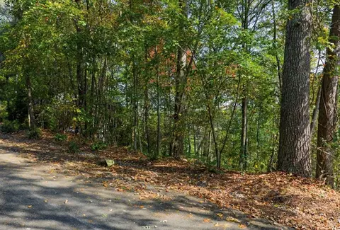 L81 Lillie Drive, Ellijay, GA 30540