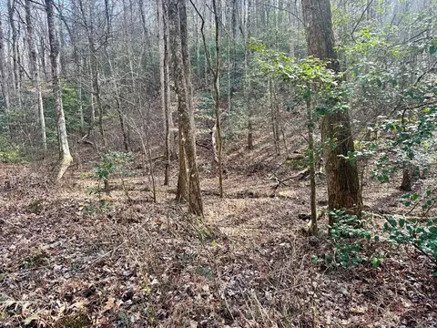 L53 Amy Creek Circle, Ellijay, GA 30540