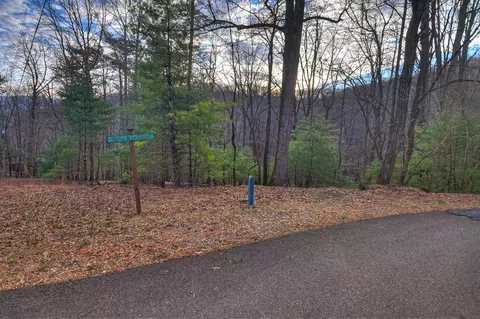 Lt M57 Walnut Mountain Court, Ellijay, GA 30536